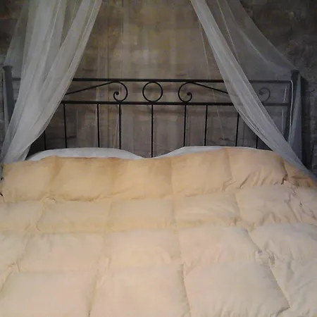 Anthea Country House טודי