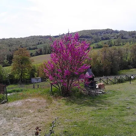 Anthea Country House בית כפרי טודי