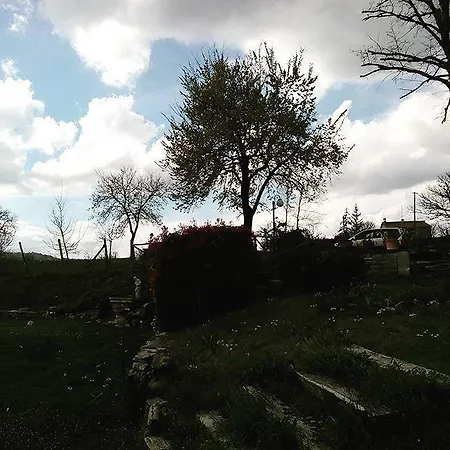 Anthea Country House * טודי