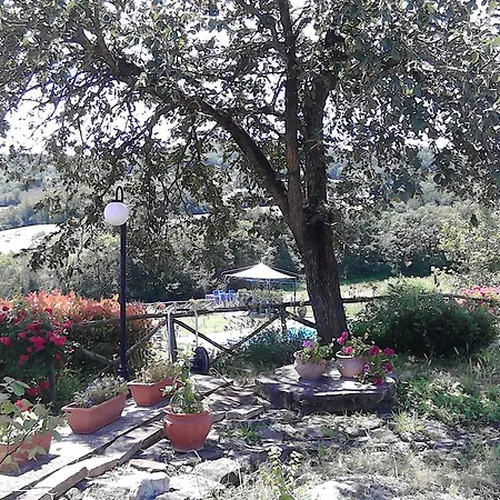 בית כפרי Anthea Country House