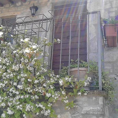 Anthea Country House בית כפרי טודי