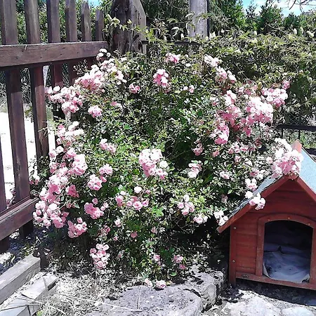 Anthea Country House טודי