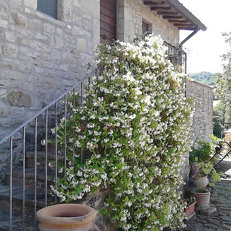 Anthea Country House בית כפרי