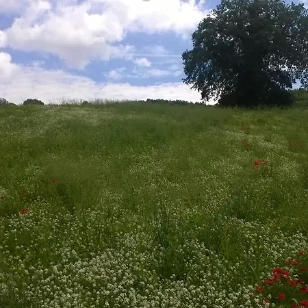 בית כפרי Anthea Country House טודי